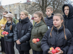 В Антраците ЛНР высадили более 450 яблонь