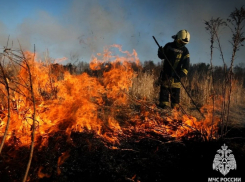 В ЛНР за минувшие сутки потушили 29 пожаров в экосистеме