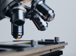 Больница в Новосветловке нарушила закон при закупках на 10 млн