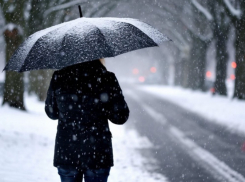 ЛНР обещают снег с дождем и сильную гололедицу 25 февраля