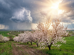 Грозы и тепло до +20°C: прогноз погоды в ЛНР на 3 апреля