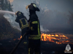 Сводка МЧС ЛНР: четыре возгорания за сутки