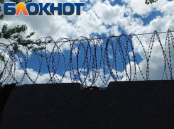 Банда, расстрелявшая семью директора ювелирного магазина в Луганске, «расформирована»