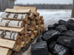 Где в ЛНР запастись дровами перед сильными морозами: актуальные адреса и цены