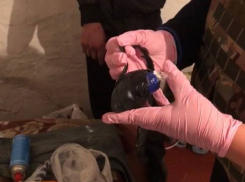 В Ровеньках ЛНР задержали наркоторговца-рецидивиста