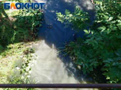 Реку Ольховку могут спасти раньше срока