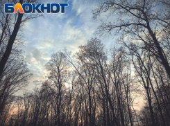 В России появится национальный парк «Святые горы», который охватит ЛНР и ДНР