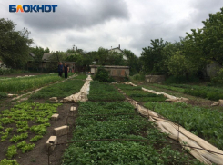 «Не просто право муниципалитетов, а обязанность – передать людям», – Путин о неоформленных участках в ЛНР