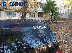 «Шутники на колесах»: почему в ЛНР можно остаться без прав за необычную окраску авто