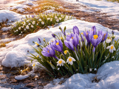 Синоптики обещают до +12 градусов в ЛНР 9 марта