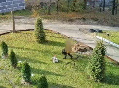 Школьник из Луганска утащил садовый маяк из двора, благоустроенного руками местных