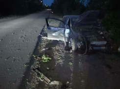В Красном Луче ЛНР мужчина погиб в ДТП, врезавшись в дерево