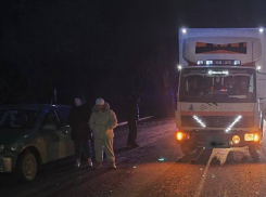 Два смертельных наезда на пешеходов произошли в ЛНР