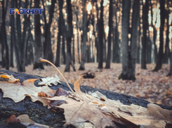 В субботу синоптики обещают луганчанам теплую и солнечную погоду