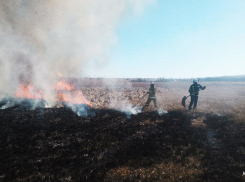 Сезон пожаров в ЛНР начался с первым весенним теплом