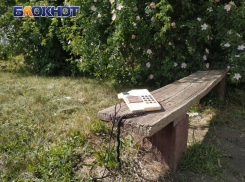 В ЛНР к концу года заработает служба 122