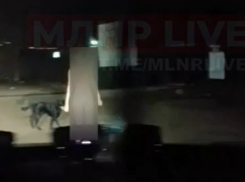 Совершенно голая женщина, разгуливающая по вечернему Луганску, попала на видео