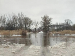 Десятки сел ЛНР оказались отрезаны из-за подтопленных мостов