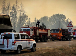 Тысяча спасателей МЧС борется с огнем в ЛНР