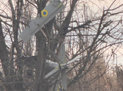 Украинский БПЛА самолетного типа запутался в ветках дерева в Кировске