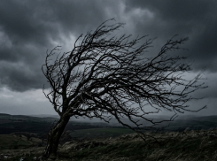 Штормовой ветер, заморозки и дожди: прогноз погоды в ЛНР на 27 апреля