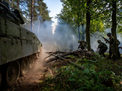 Сводка СВО к 18 марта: иранцы готовят покушение на Зеленского и бунт солдат ВСУ под Сумами