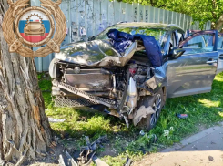 31-летняя луганчанка погибла, врезавшись на Kia в дерево