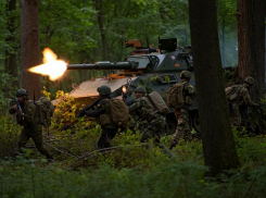 Новости СВО: павшие герои КНДР, зачистка лесов ЛНР и прорыв в Харьковщине