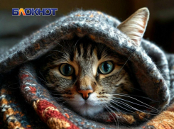 После публикации «Блокнот Луганск» жителям Алчевска пообещали вернуть отопление к четвергу