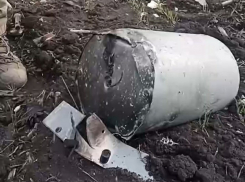 В Троицком районе ЛНР сбили беспилотник, начиненный ядом