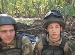 Как российские военные уничтожили два немецких «Леопарда» в Луганской Народной Республике