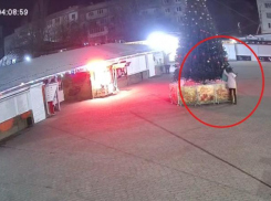 В Луганске женщина нагло украла игрушки с городской ёлки на Юбилейном