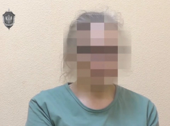 «Попросили посмотреть несколько объектов»: в ЛНР задержали очередную шпионку ВСУ