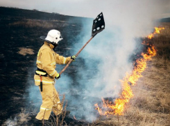 В ЛНР разгорелись природные пожары: сгорело более ста гектаров сухостоя