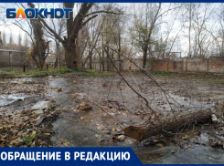 А вода по асфальту рекой: луганчане пожаловались на «коммунальный» водопад на улице Щаденко