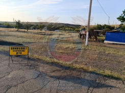 Пешеход погиб в ДТП в Антрацитовском округе