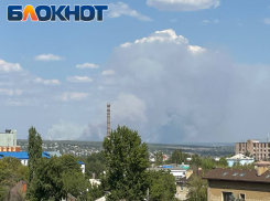 В Станично-Луганском округе ЛНР вспыхнул крупный ландшафтный пожар