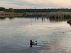 Луганчанам рассказали о местах безопасной рыбалки