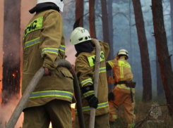 Четыре пожара: оперативная сводка ЛНР за сутки