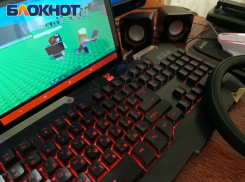 Мошенники по-взрослому «разводят» детей в онлайн-игре – Минцифры ЛНР