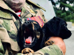 «Боевой хвостатый друг»: в Луганске кинологи отметили 115-летие службы