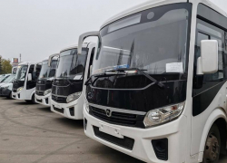 Завершающая на 2025 год партия автобусов прибыла в ЛНР