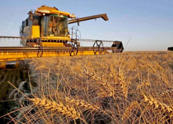 В ЛНР продолжается активный сбор урожая 