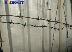 В Луганске осудили 21 участника наркокартеля: сроки до 13 лет