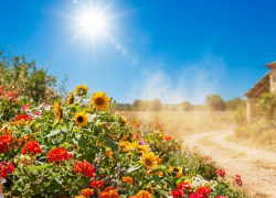 В ЛНР 25 августа — до +29 °C, без осадков и порывистый ветер