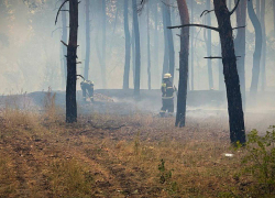 В Станично-Луганском районе ЛНР огнем поврежден 161 жилой дом