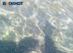 Антимонопольщики предупредили развлекательный комплекс в Луганске