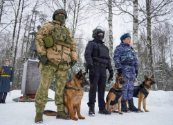 Пока бесплатно: в ЛНР владельцам оружия нужно пройти перерегистрацию