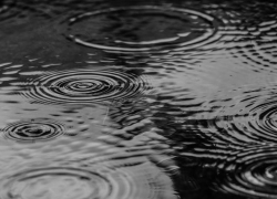 21 ноября в Луганске: дождь утром, тепло днем