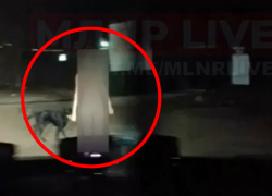 Голую женщину, разгуливающую по вечернему Луганску, передали медикам